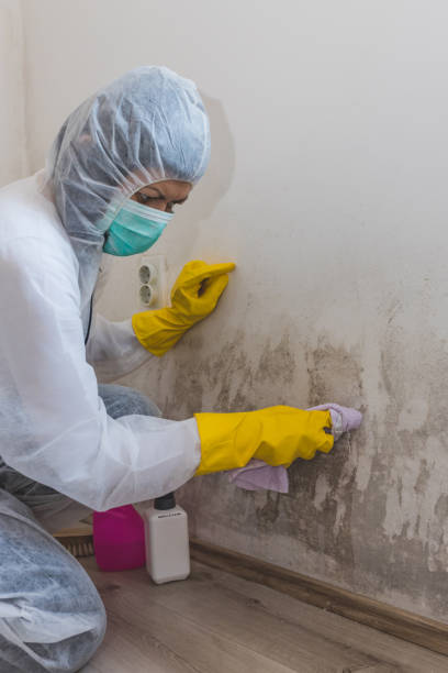 Best Post-Remediation Verification Testing  in Bergenfield, NJ