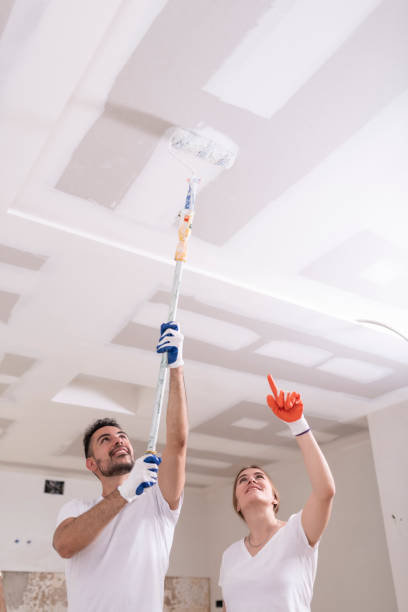 Best Mold Prevention Services  in Bergenfield, NJ